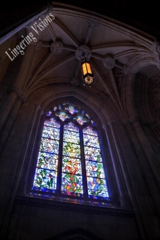 Stained Glass Windows of the National Cathedral(w)# (19)