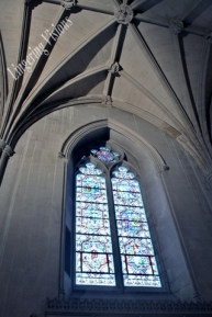Stained Glass Windows of the National Cathedral(w)# (7)