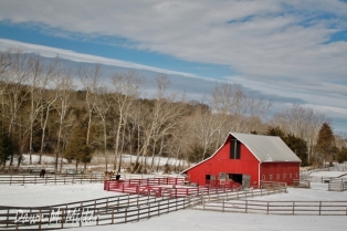 Red Barn White Snow(w)