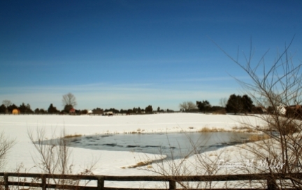 On Frozen Pond(w)