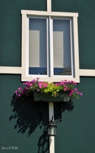 Window boxes(w)# (7)