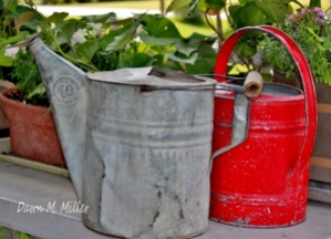 Red Watering Can(w)