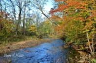 Autumn on Passage Creek(w)