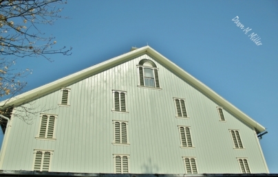 This barn was red before the president bought it. The five star army general had it painted his favorite color; green.