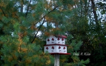 Bird Houses(e)# (4)