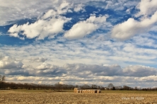 hay-bales-stacked-in-the-hay-field