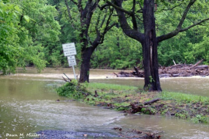Low Water Bridge over Cedar Creek Connecting Warren County with Shenandoah County was Impassable on Friday May 18, 2018# (1)