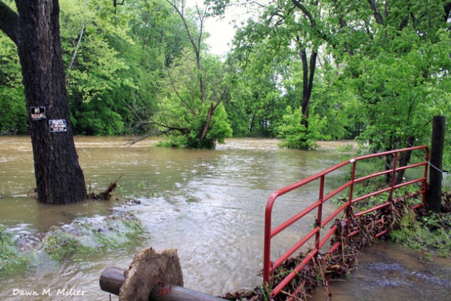 Low Water Bridge over Cedar Creek Connecting Warren County with Shenandoah County was Impassable on Friday May 18, 2018# (4)