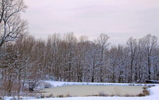 Sunset on Frozen Pond