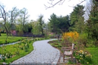MSV paths, benches, gardens, in Spring# (2)