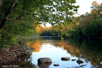 Autumn Stillness on the Creek