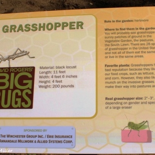 Grasshopper sign