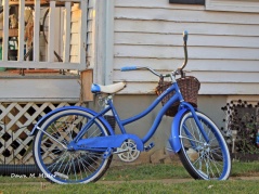 Blue Bike Down the Street